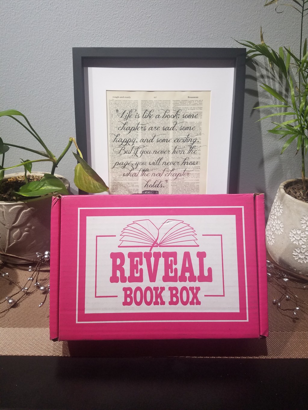 My January 2019 Romance Reveal Book&nbsp;Box!