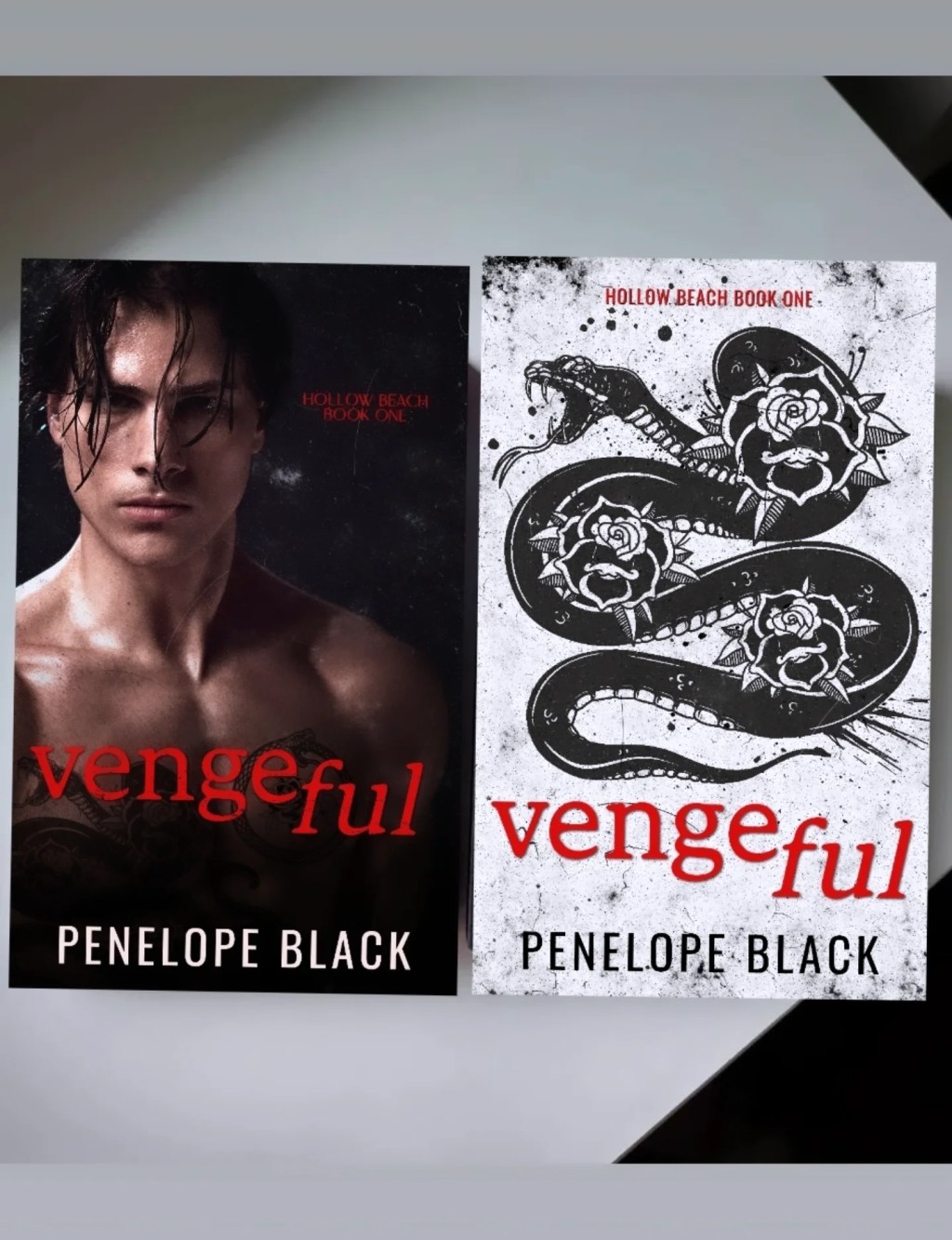 Vengeful by Penelope Black (4.5 Star Book Review) Dark, Why Choose, Heists, Slow Burn and Beach&nbsp;Setting